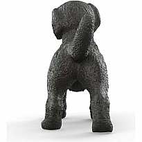 Black Labrador Retriever Puppy