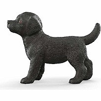 Black Labrador Retriever Puppy