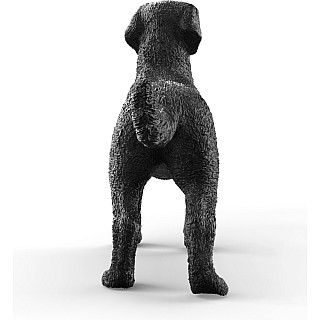 Black Labrador Retriever Female