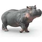 Hippopotamus