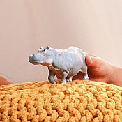 Hippopotamus