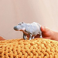 Hippopotamus