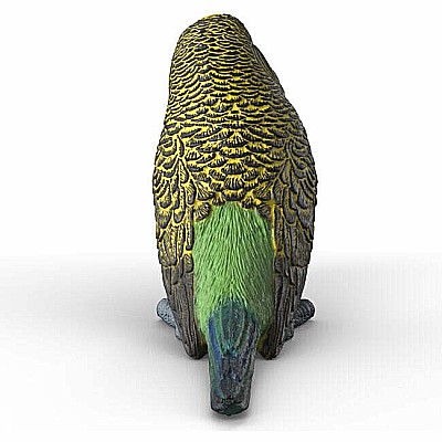 Budgie