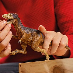 Dinosaurs Moros Intrepidus