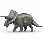 Triceratops