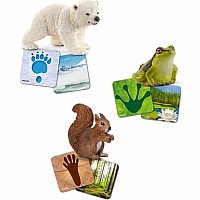 Schleich Wild Life Flash Cards