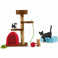 Playtime For Cute Cats