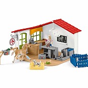Veterinarian Practice with Pets