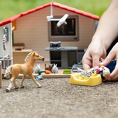 Veterinarian Practice with Pets