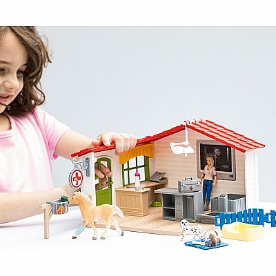 Veterinarian Practice with Pets