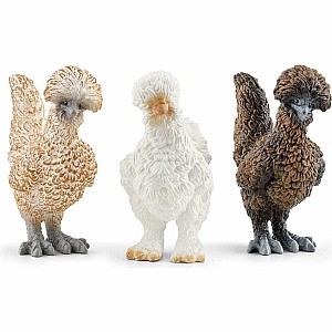 Chicken Friends
