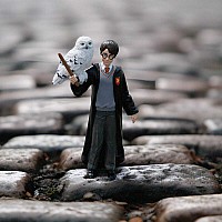 Harry Potter and Hedwig