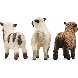 Schleich Sheep Friends Set