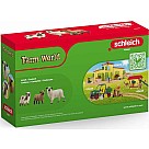 Schleich Sheep Friends Set