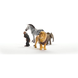 Wild Life Africa Starter Set