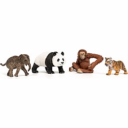 Wild Life Asia Starter Set