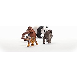 Wild Life Asia Starter Set