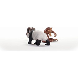 Wild Life Asia Starter Set