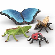 Insect Discovery Set