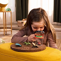 Insect Discovery Set