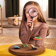 Insect Discovery Set