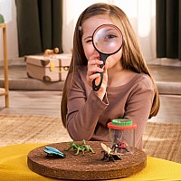 Insect Discovery Set