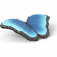 Insect Discovery Set