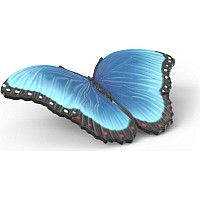 Insect Discovery Set