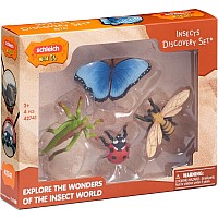 Insect Discovery Set