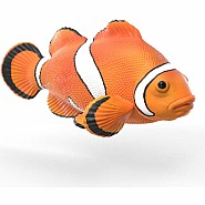 Sea Animals Discovery Set