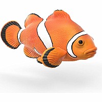 Sea Animals Discovery Set