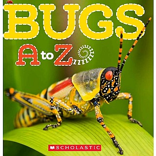 Bugs A To Z Paperback