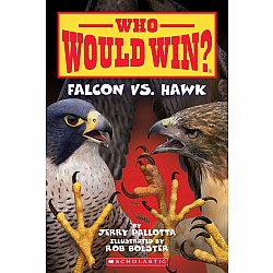 Falcon vs. Hawk (Who Would Win?)