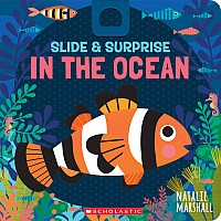 Slide & Surprise in the Ocean 
