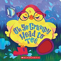 Oh So Grumpy Head to Toe  (Touch and Feel)