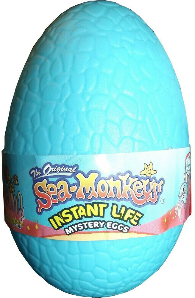sea monkey eggs only