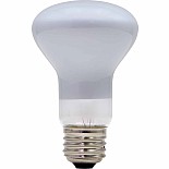 100w Light Bulb / Lava Lamp