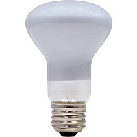 100w Light Bulb / Lava Lamp