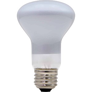 100w Light Bulb