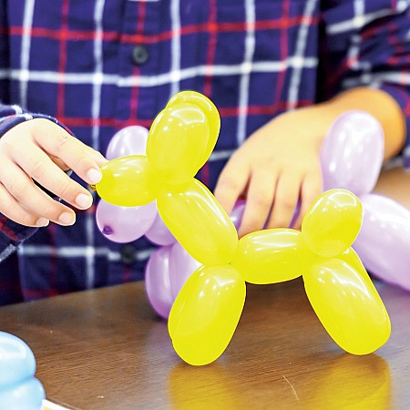 HOW TO BALLOON ANIMALS KIT