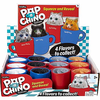 Pop-a-Chino Kitties (assorted)