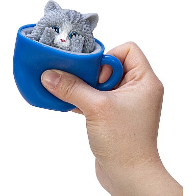 Pop-a-Chino Kitties (assorted)