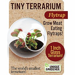 Tiny Terrariums Carnivorous (assorted)