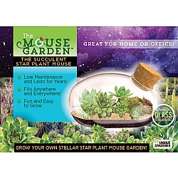 The Succulent Star Mouse