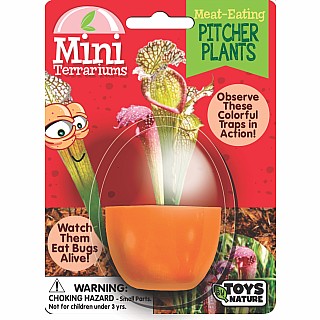Meat-Eating Pitcher Plants