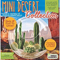 Mini Desertscape