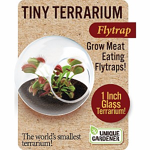 Tiny Terrariums - Flytraps