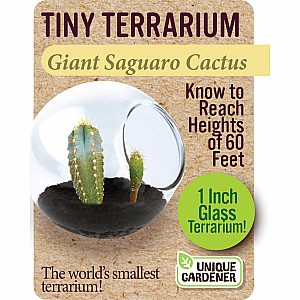 Giant Saguaro