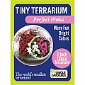 Tiny Terrarium Perfect Pinks