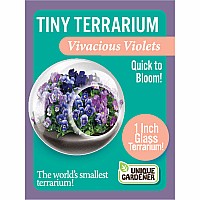 Tiny Terrarium Vivacious Violet